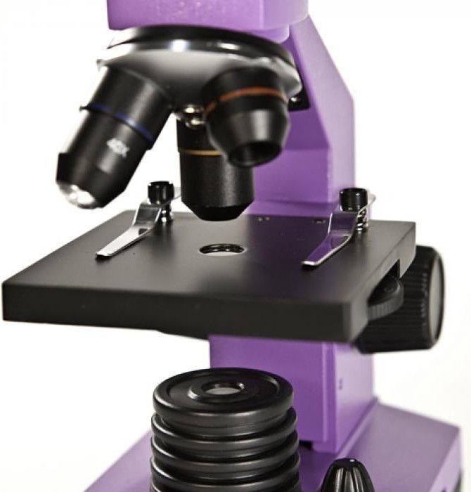 10 лучших микроскопов для школьников и студентов - выбор экспертов